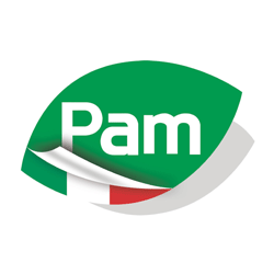 logo pam